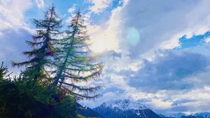 The power of dreaming