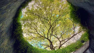 Heaven, hell & nature's cycle
