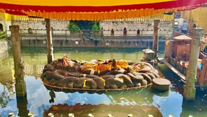 Sleeping Vishnu