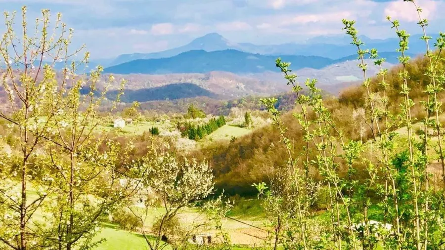 April 2019 Silent Immersion Retreat