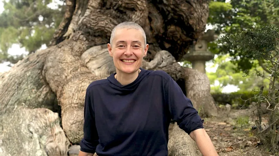 Reawaken 2