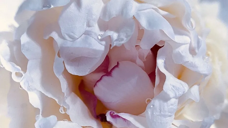 Deep silence: pure love frequency