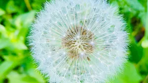 This destructive influence is finished
