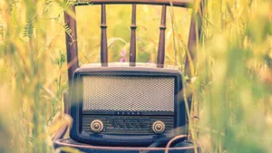 The higher levels 5: your frequency