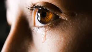 The sorrow of the ancestors